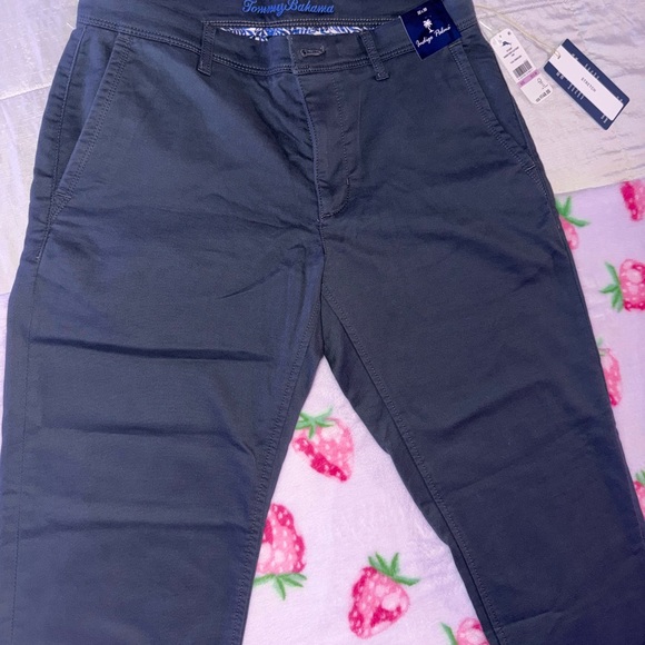 Men’s Tommy Bahama Gray Harbor Point Flat Front Straight Leg Pant (size 32 x 30) - Picture 2 of 11